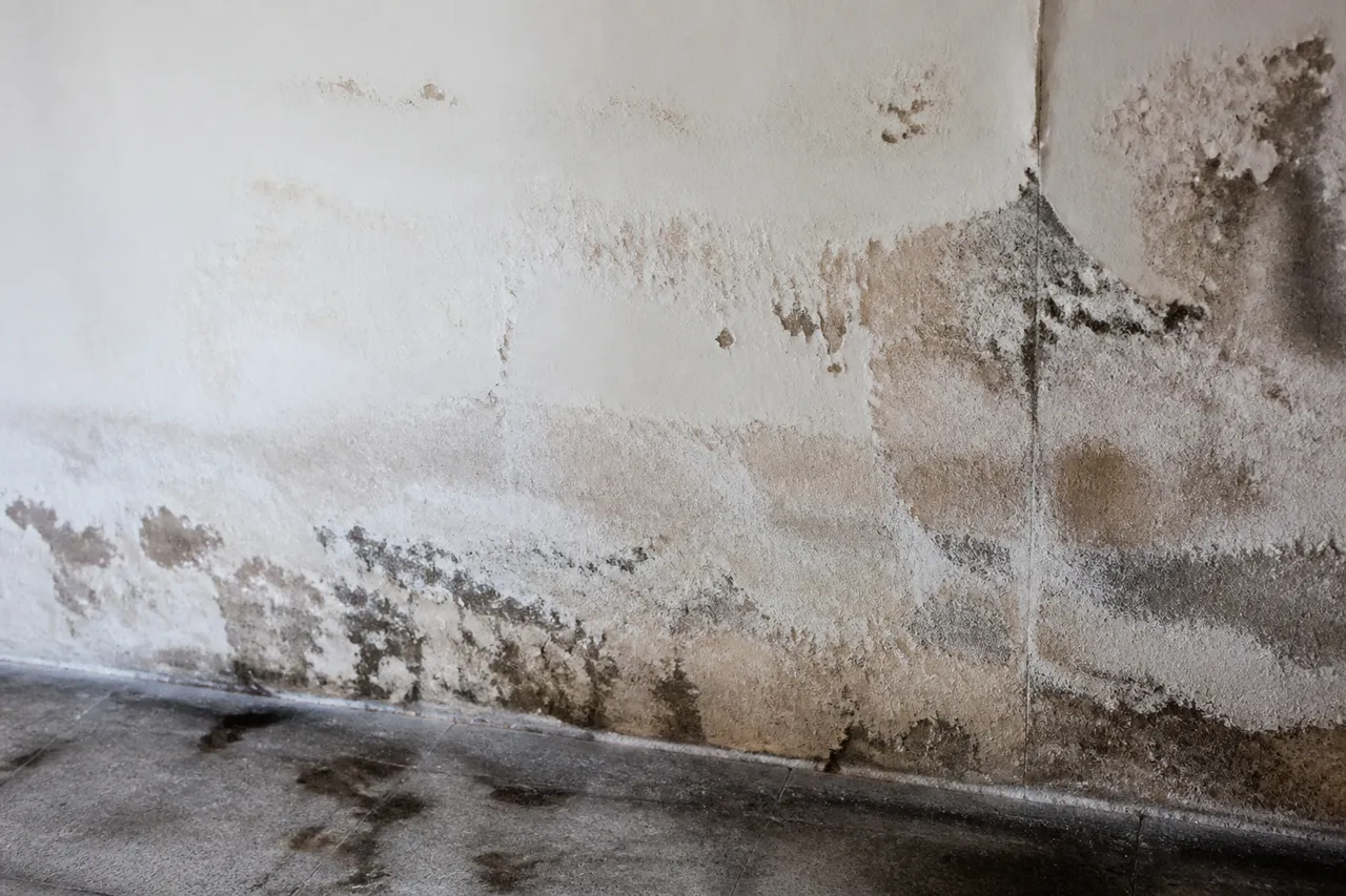 Mur en mâchefer humide avec salpêtre et peinture qui s'écaille